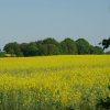 Begrüßung