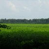 Tour 2: Elbe-Lübeck-Kanal(N)