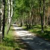 Tour3-Usedom-Koswerow