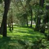 Tour 4: Usedom-Bansin