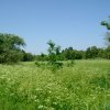 Tour 4: Usedom-Bansin