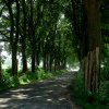 Tour 4: Usedom-Bansin