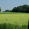 Tour 4: Usedom-Bansin